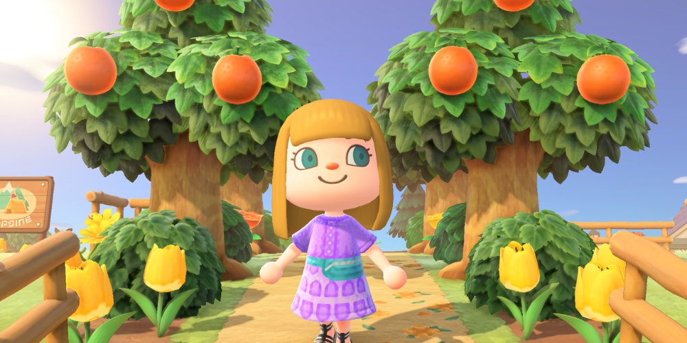 Animal Crossing New horizons video game